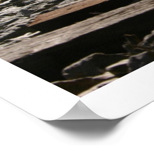 Poster Traces (Coin)