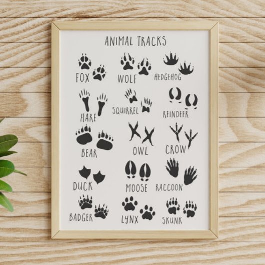 Poster Traces d'animaux