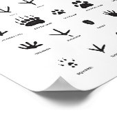 Poster Traces d'animaux Décor de pépinière de bois (Coin)