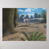 Poster Traces de Raptor Imprimer (Devant)