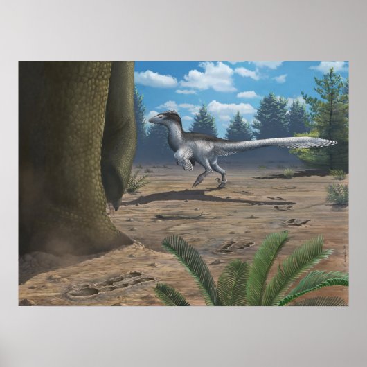 Poster Traces de Raptor Imprimer (Devant)