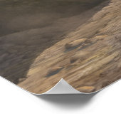 Poster Traces de Raptor Imprimer (Coin)