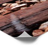 Poster Traces ferroviaires (Coin)