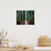 Poster Traces ferroviaires dans la forêt (Cuisine)