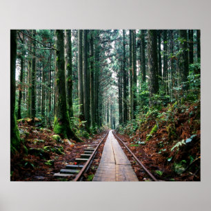 Poster Traces ferroviaires dans la forêt