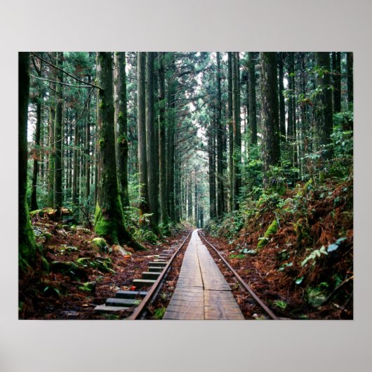Poster Traces ferroviaires dans la forêt (Devant)