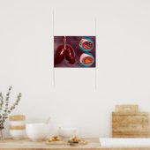 Poster Trachea Transsection Avec Poumons (Cuisine)