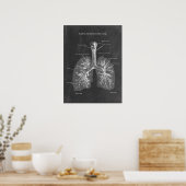 Poster Trachée d'anatomie pulmonaire et Bronchi (Cuisine)