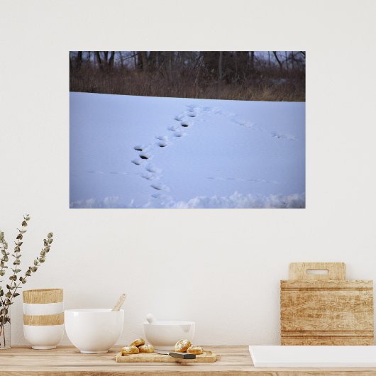 Poster Tracks dans la neige (Cuisine)