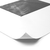 Poster Tracks in the Snow: Cheshire (Coin)