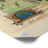 Poster Tractatus de Herbis (Coin)