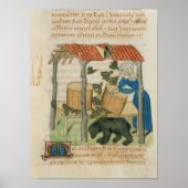 Poster Tractatus de Herbis (Devant)