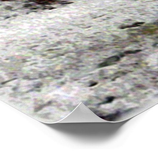 Poster Tracteur à neige (Coin)