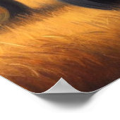 Poster Tracteur Bigfoot (Coin)