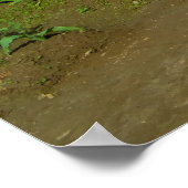 Poster Tracteur dans les champs de tulipe (Coin)