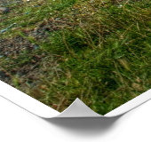 Poster Tracteur de plage (Coin)