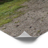 Poster Tracteur Orange Steyr KL II (Coin)