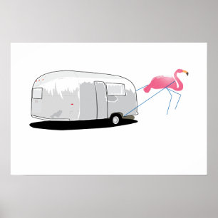 Poster traction de Flamant rose