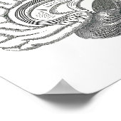 Poster Tracts de matière blanche du cerveau (Coin)