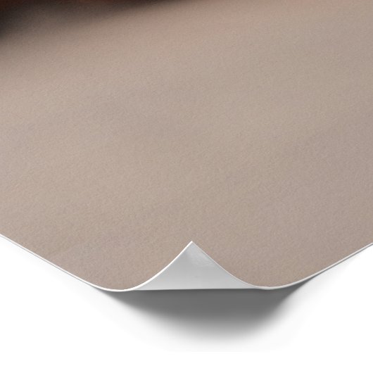 Poster traditionnel Thanksgiving (Coin)