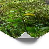 Poster Trafalgar Falls, Dominique, Antilles (Coin)