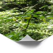 Poster Trafalgar Falls Tropical Rainforest Photographie (Coin)