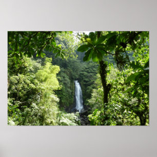 Poster Trafalgar Falls Tropical Rainforest Photographie