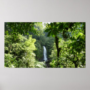 Poster Trafalgar Falls Tropical Rainforest Photographie