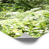 Poster Trafalgar Falls Tropical Rainforest Photographie (Coin)