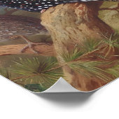 Poster Tragopan occidental, Illustrations d'oiseaux (Coin)