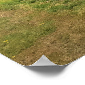 Poster Trail at Cape Blanco (Coin)