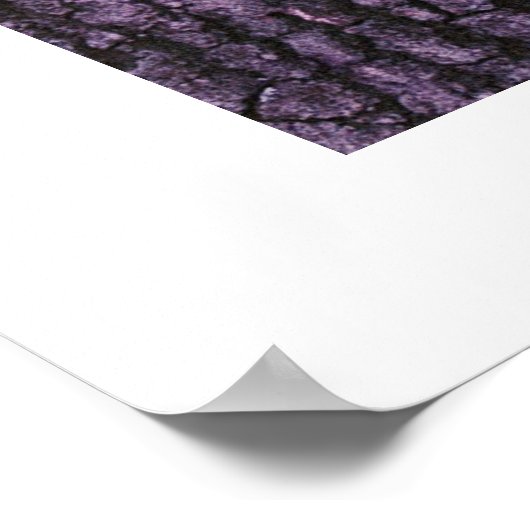 Poster Trail au parc Dunbar Cave State Park (Coin)