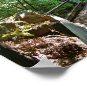 Poster "Trail Break", Muir Woods (Coin)