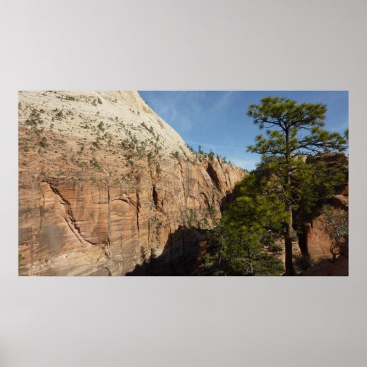 Poster Trail to Angels Landing in Zion National Park (Devant)