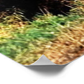 Poster Train 2 Print (Coin)