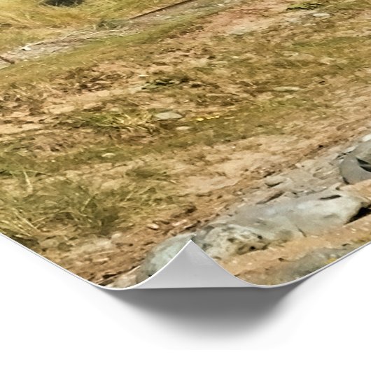 POSTER TRAIN À VAPEUR (Coin)