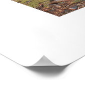 Poster Train à vapeur pour Silverton (Coin)