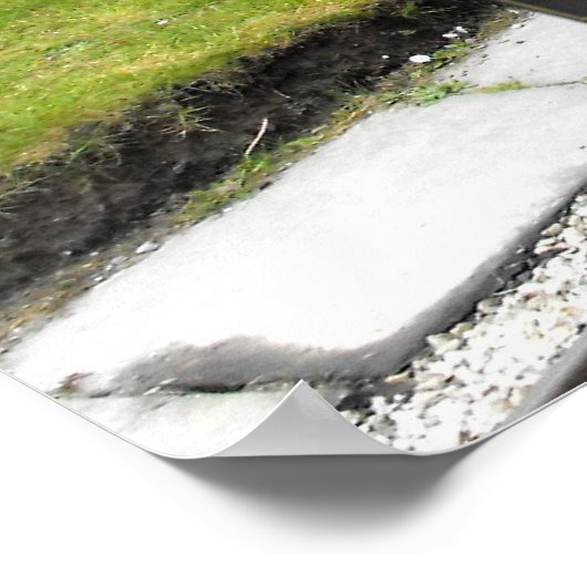 Poster Train à vapeur Zebedee (Coin)