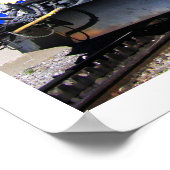 Poster Train de Marmottes en Suisse (Coin)