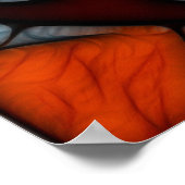 Poster Train de paix (Coin)