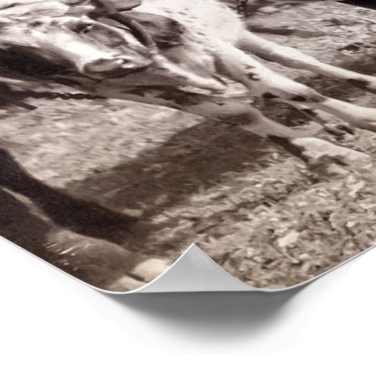 Poster TRAIN DE WAGON DE MARCHANDISES c. 1887 (Coin)