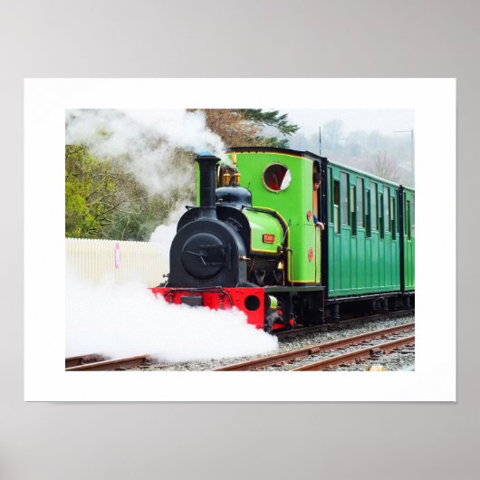 Poster Train Dolbadarn (Devant)