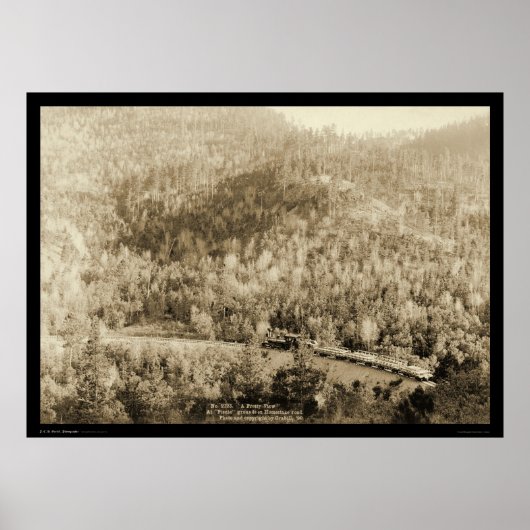 Poster Train Engine près de Black Hills SD WY 1890 (Devant)