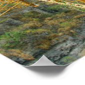 Poster Train Équateur (Coin)