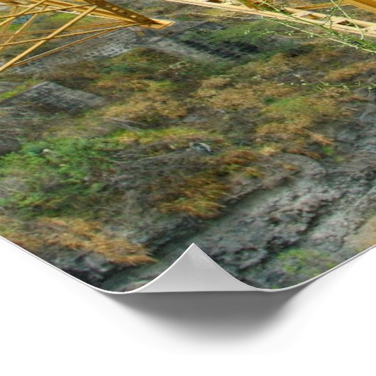 Poster Train Équateur (Coin)