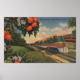 Poster Train - Orange Blossom Special