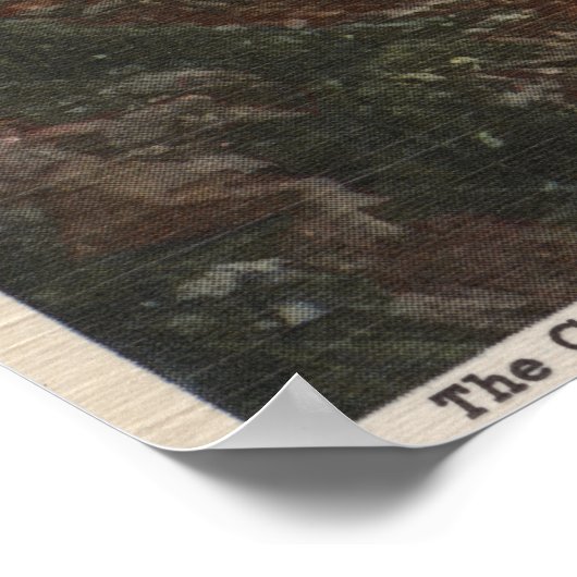 Poster Train- Rationalisation à travers Potomac (Coin)