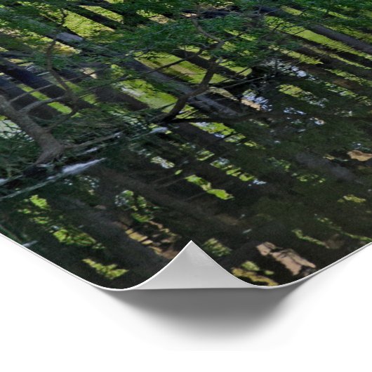 Poster Train Trestle (Coin)