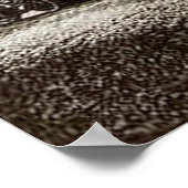 Poster Train vintage / Locomotive Photo (Coin)