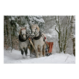 Poster traîneau+randonnée,neige,forêt,cheval,hiver,bla